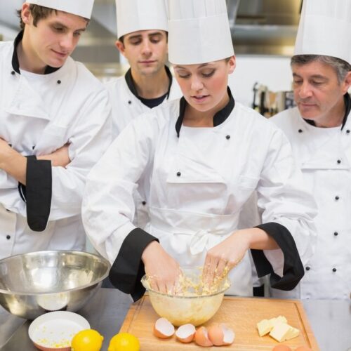 Aşçı Yardımcılığı Kalfalık Belgesi